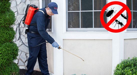 Ulubey Böcek İlaçlama böcek ilaçlama ve haşere kontrolü — ilaclama-tr.com